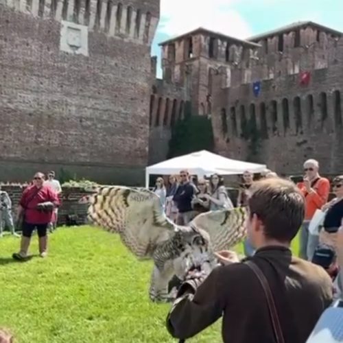 Fantasy_eventi