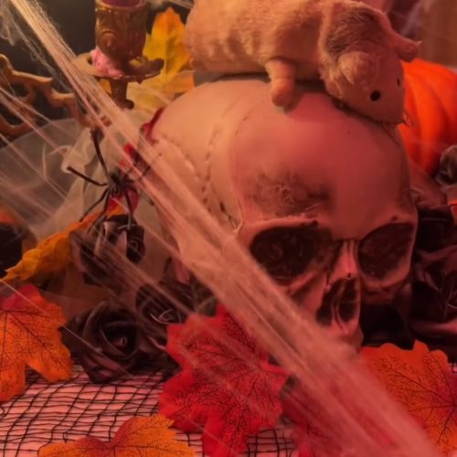 Halloween 2024_eventi